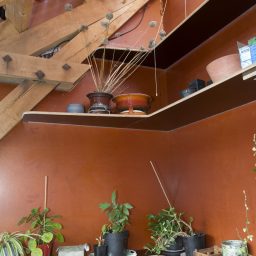 Plafond- en wandbetimmering voor plantenkas